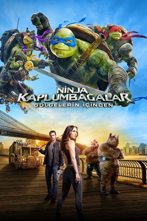 Ninja Kaplumbağalar: Gölgelerin İçinden afişi