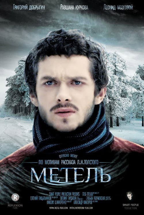 Метель afişi