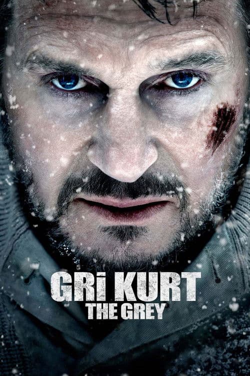 Gri Kurt afişi