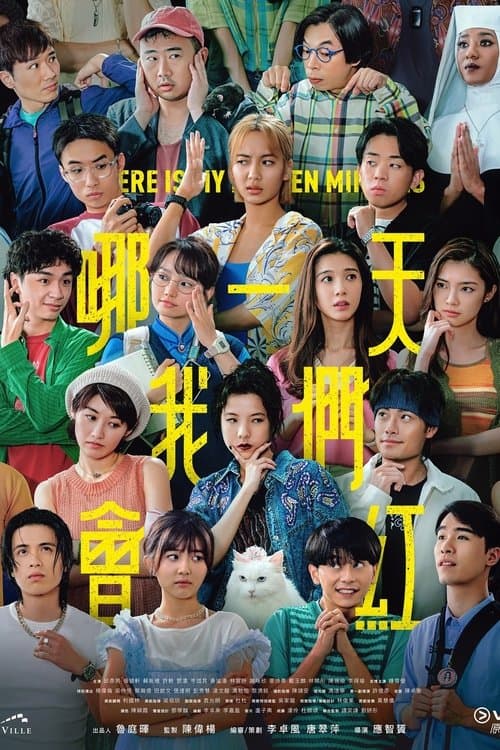 哪一天我們會紅 afişi