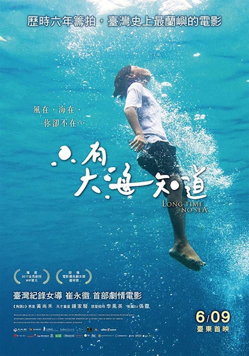 只有大海知道 afişi
