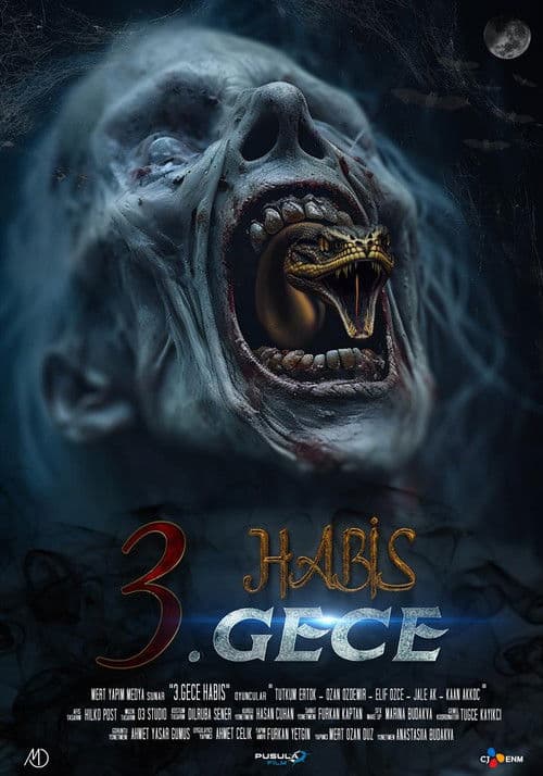 3. Gece Habis afişi