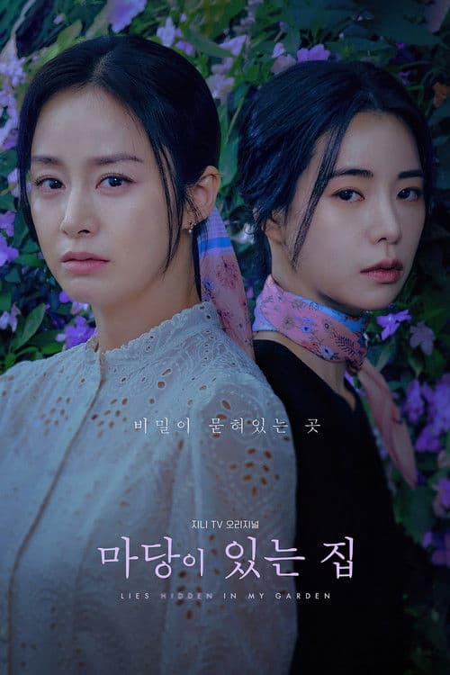 마당이 있는 집 afişi