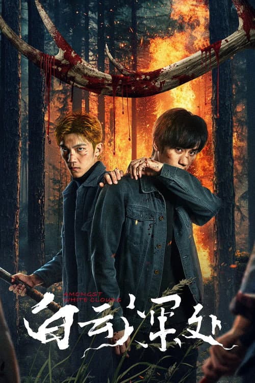 白云深处 afişi