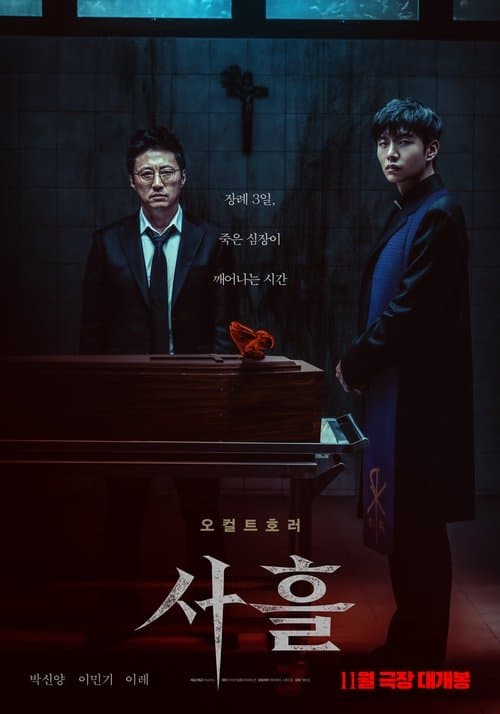 사흘 afişi
