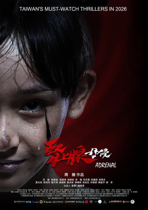 腎上腺-母侵 afişi