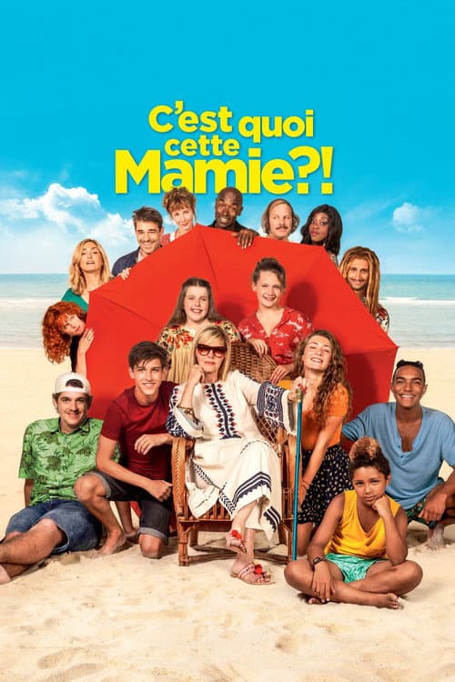 C'est quoi cette mamie ?! afişi
