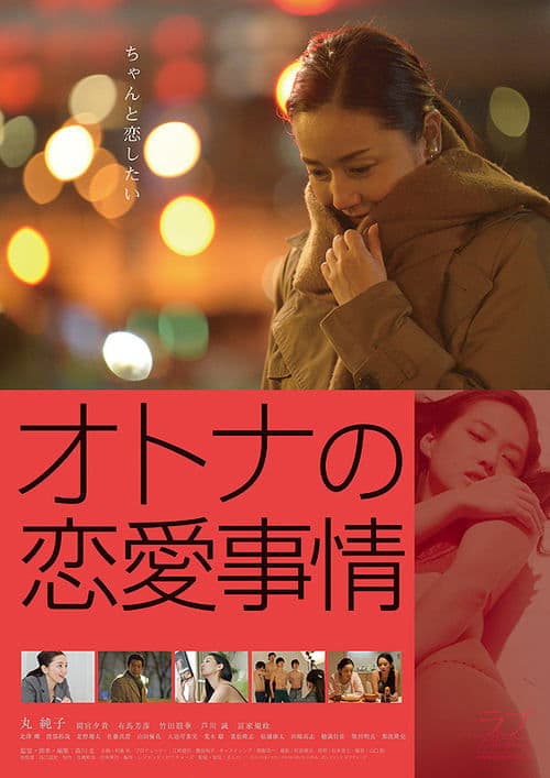 オトナの恋愛事情 afişi