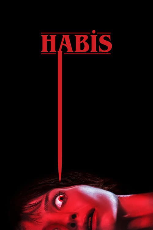 Habis afişi