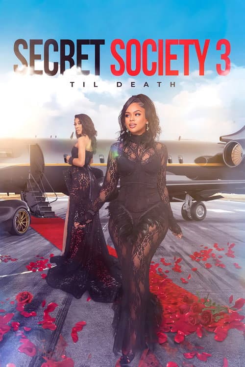 Secret Society 3 afişi