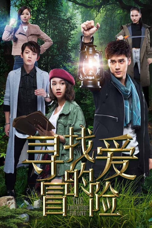 寻找爱的冒险 afişi