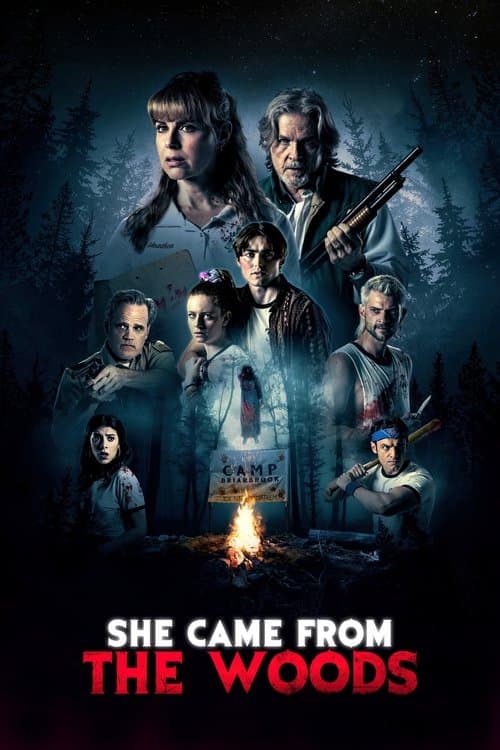 She Came from the Woods afişi