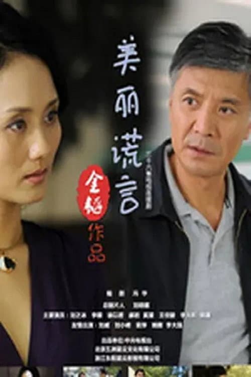 美丽谎言 afişi