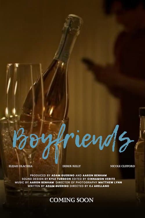 Boyfriends afişi