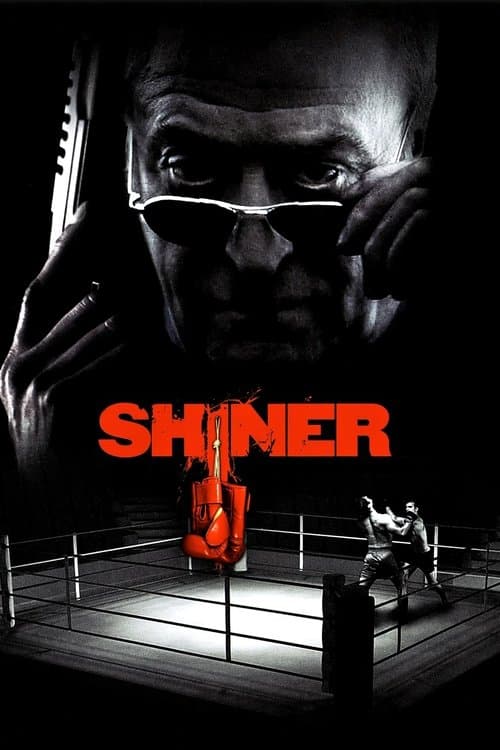 Shiner afişi