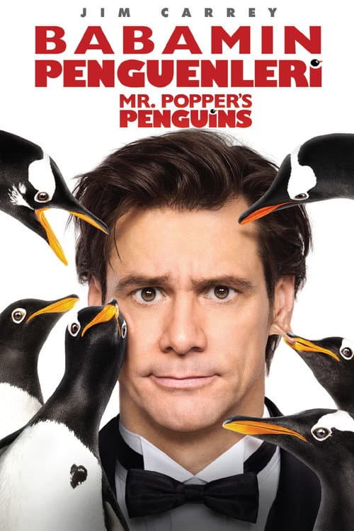 Babamın Penguenleri afişi