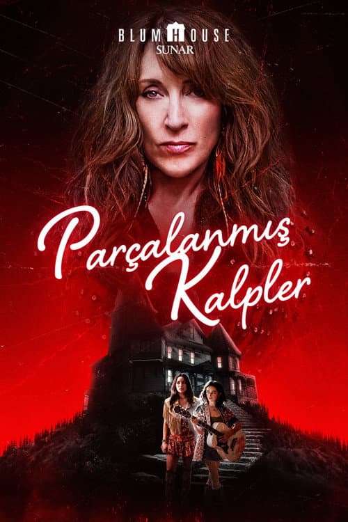 Parçalanmış Kalpler afişi