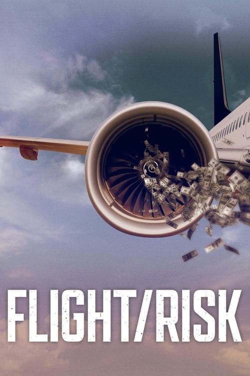 UÇUŞ/RİSKİ afişi
