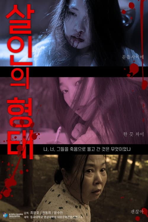 살인의 형태 afişi