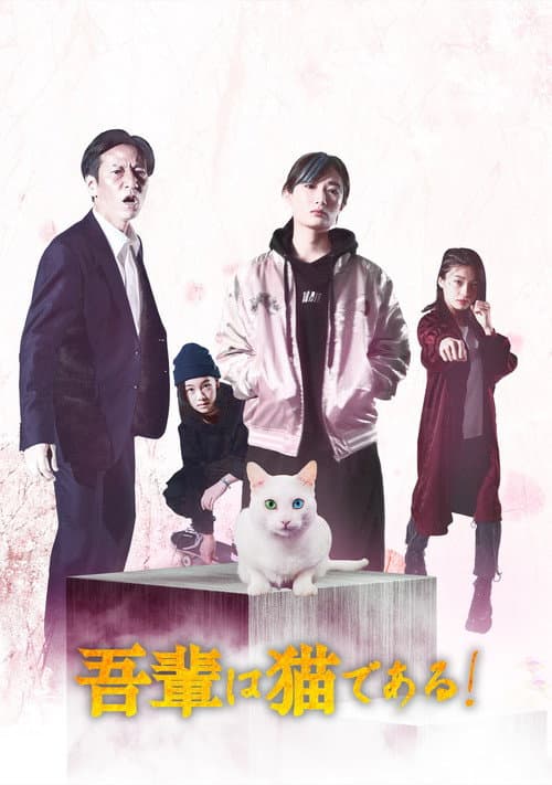 吾輩は猫である! afişi