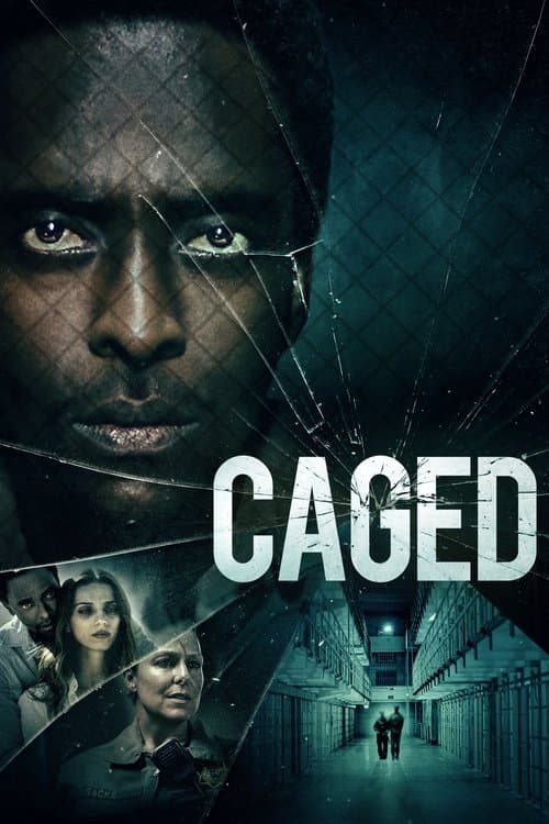 Caged afişi