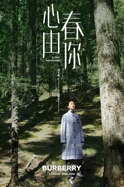 心春由你 afişi