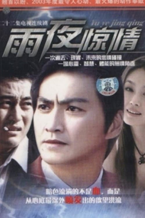 雨夜惊情 afişi