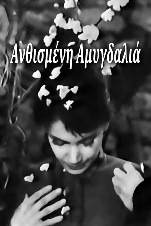 Ανθισμένη Αμυγδαλιά afişi