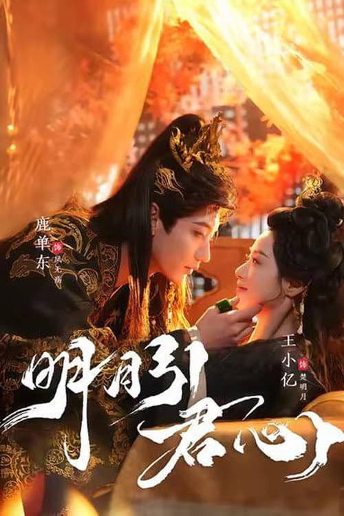 明月引君心 afişi