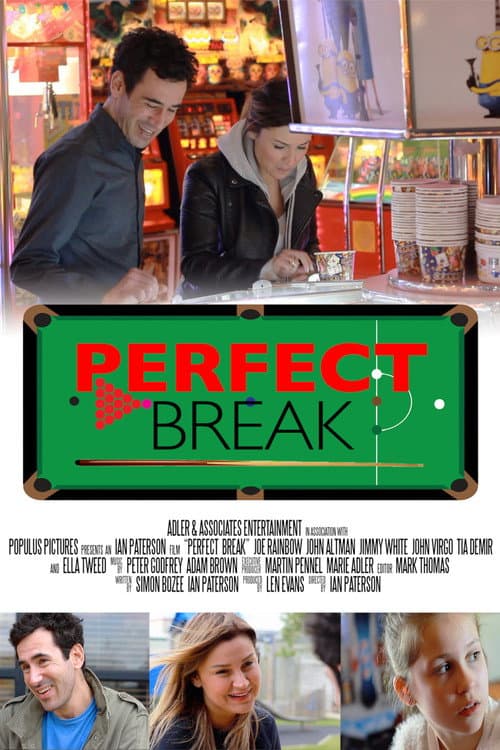 Perfect Break afişi