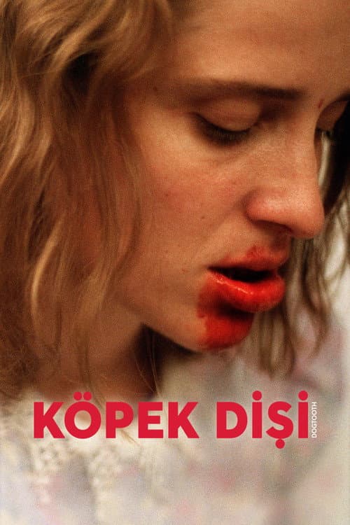 Köpek Dişi afişi