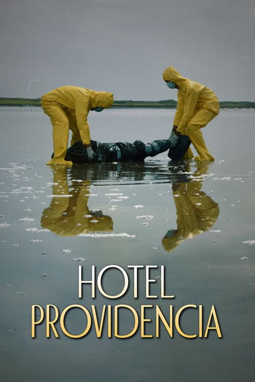 Hotel Providencia afişi