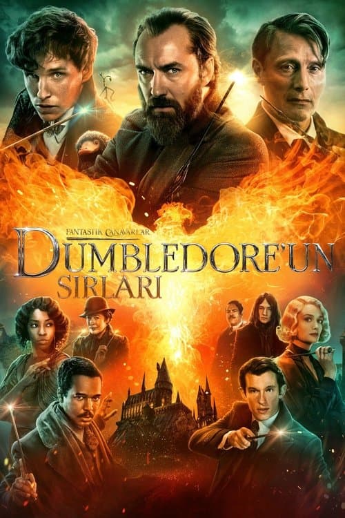Fantastik Canavarlar: Dumbledore'un Sırları afişi