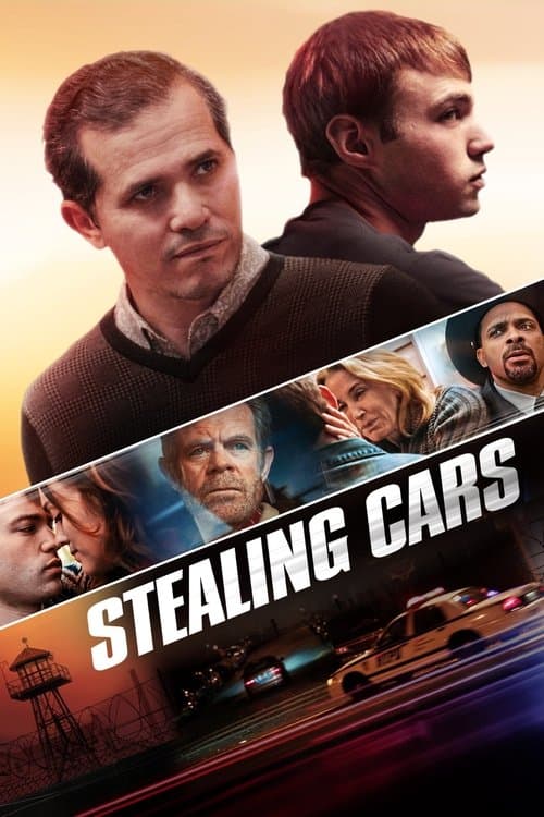 Stealing Cars afişi