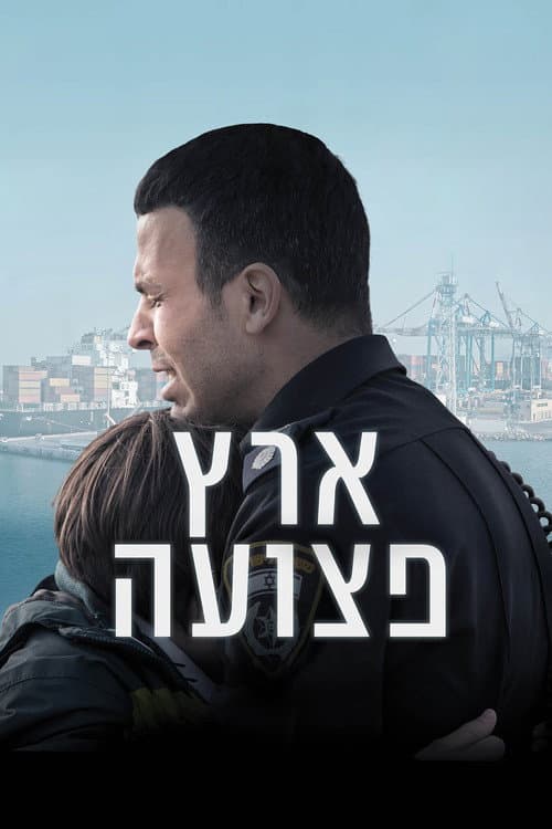 ארץ פצועה afişi