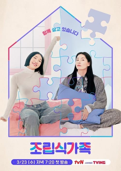 조립식 가족 afişi