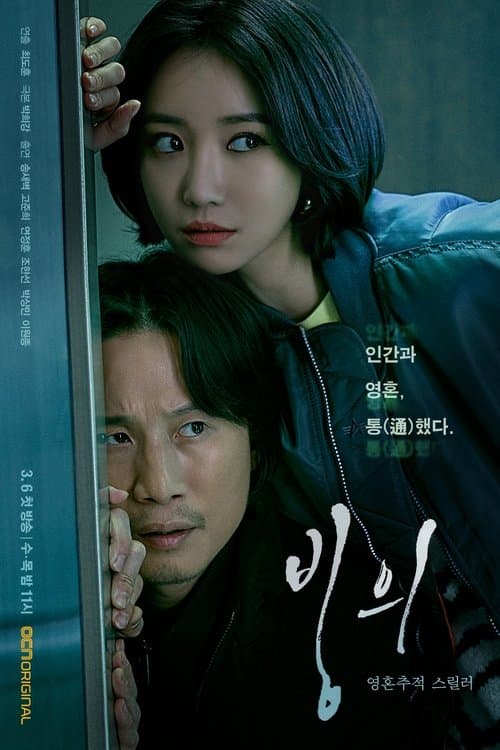 빙의 afişi