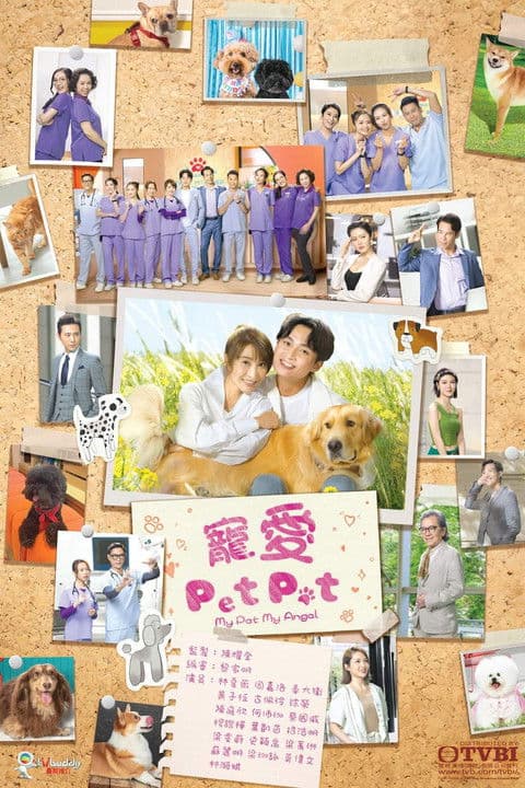 寵愛 Pet Pet afişi