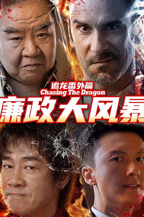 追龙番外篇之廉政大风暴 afişi