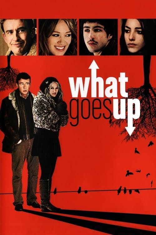 What Goes Up afişi