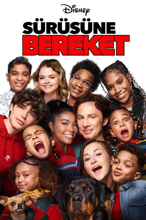 Sürüsüne Bereket afişi