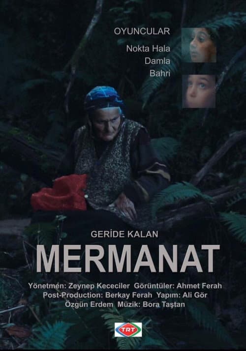 Geride Kalan Mermanat afişi