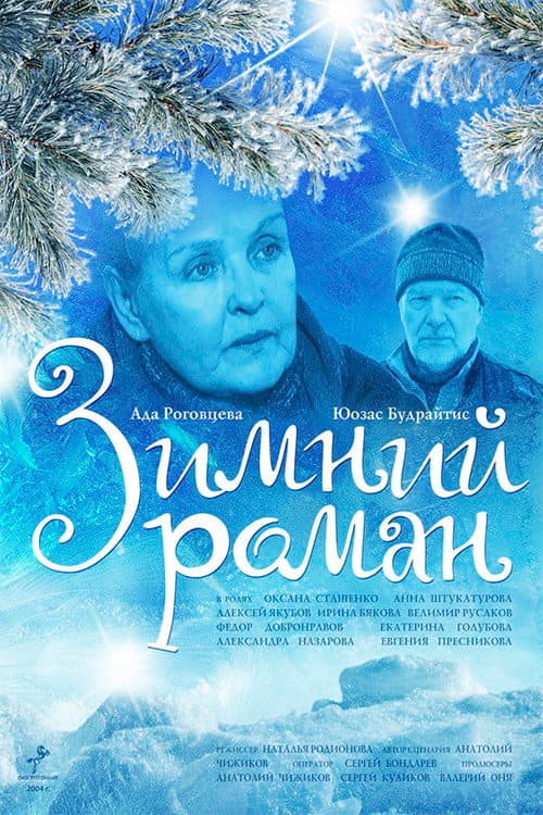 Зимний роман afişi