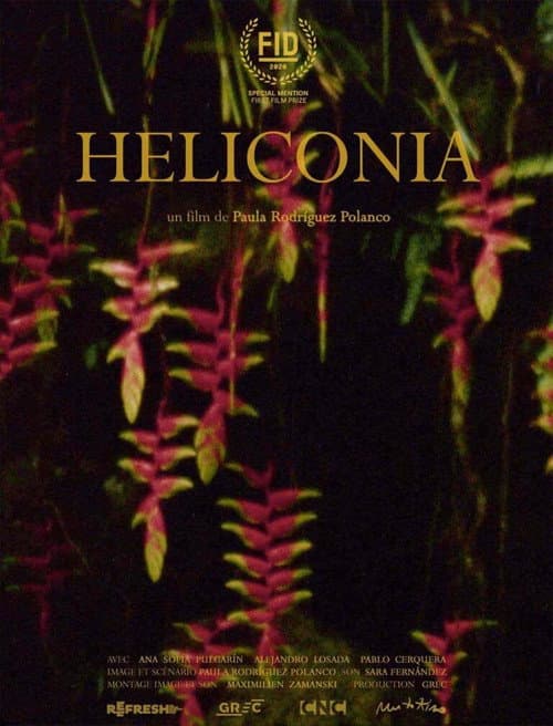 Heliconia afişi