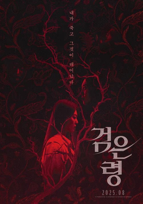 검은 령 afişi