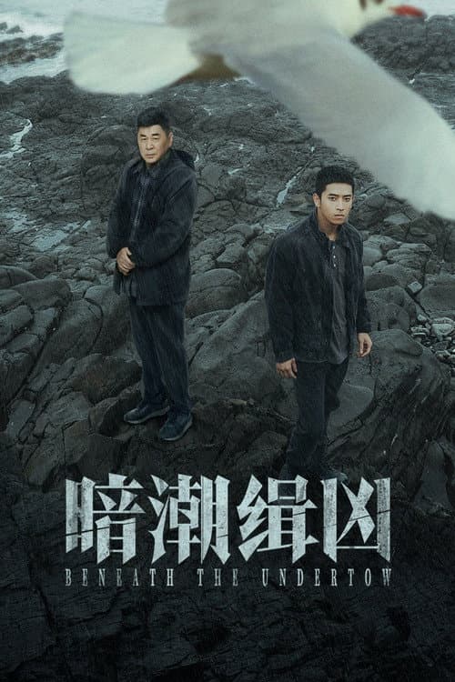 暗潮缉凶 afişi