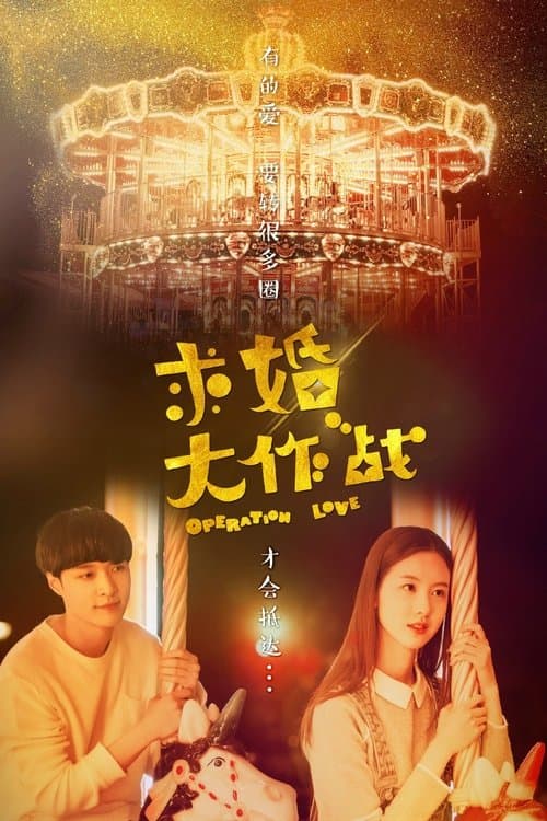 求婚大作战 afişi