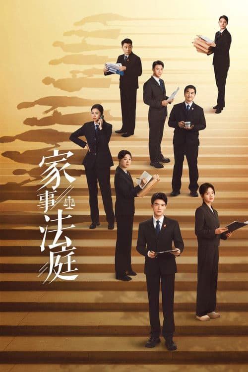 家事法庭 afişi