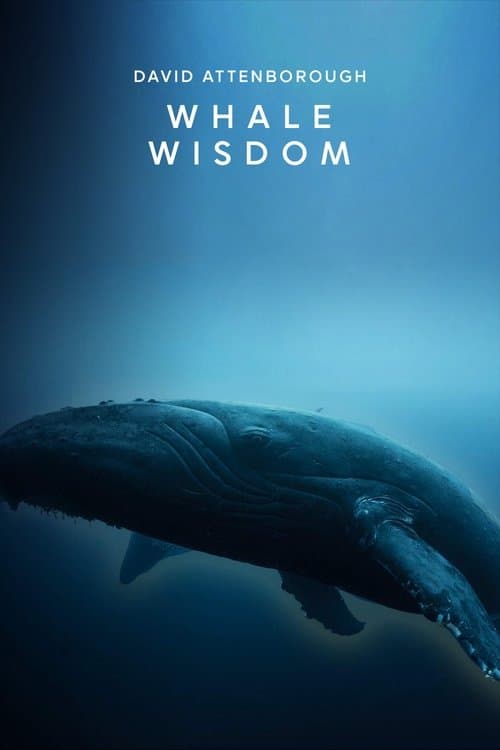 Whale Wisdom afişi