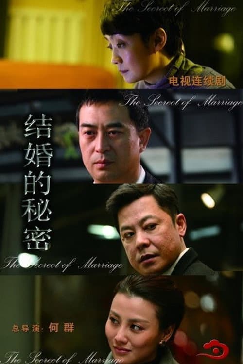 结婚的秘密 afişi